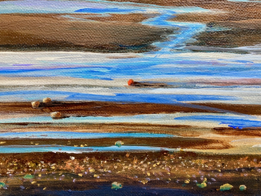 Braunton Burrows, Devon