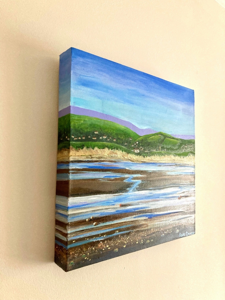 Braunton Burrows, Devon