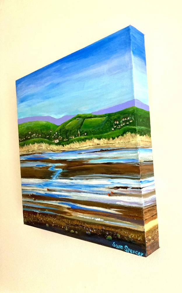 Braunton Burrows, Devon