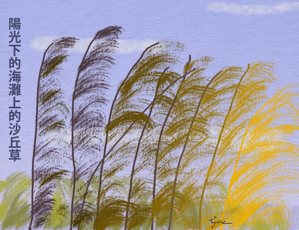Dune Grass
