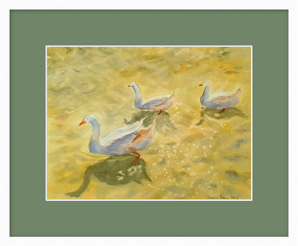 Geese on the Lake. Signed Original Watercolour