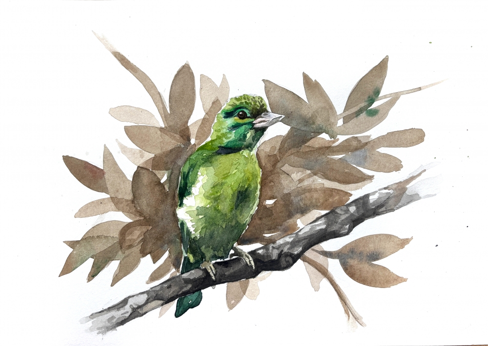 Green Bird