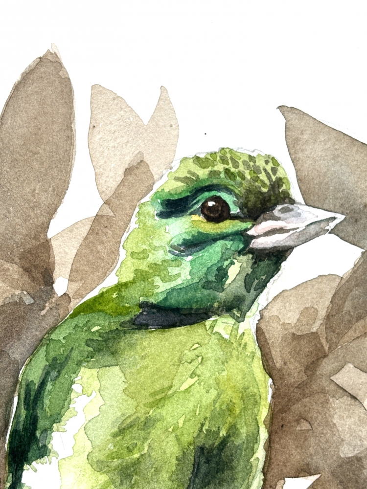 Green Bird