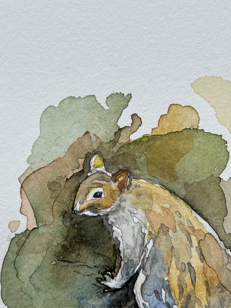 Squirrel