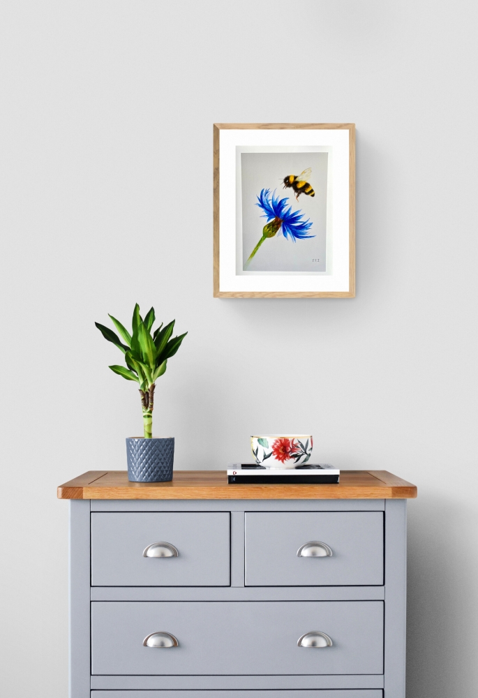 Bumblebee and Cornflower