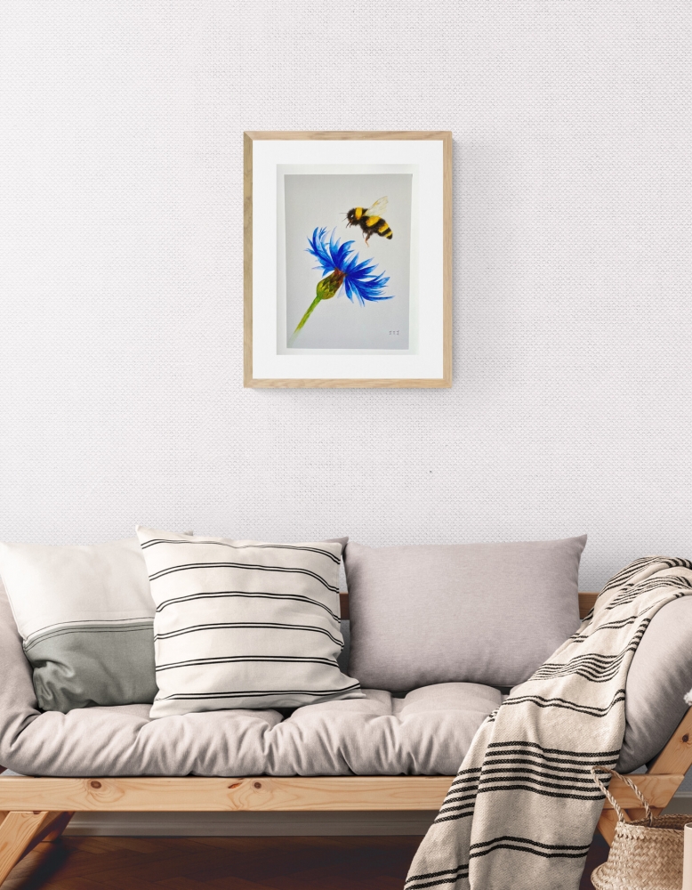 Bumblebee and Cornflower