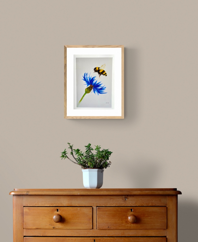 Bumblebee and Cornflower