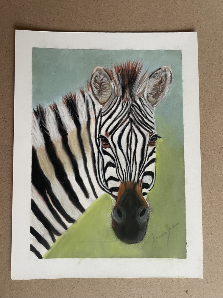 Ziggy The Zebra