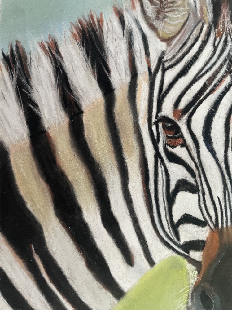Ziggy The Zebra