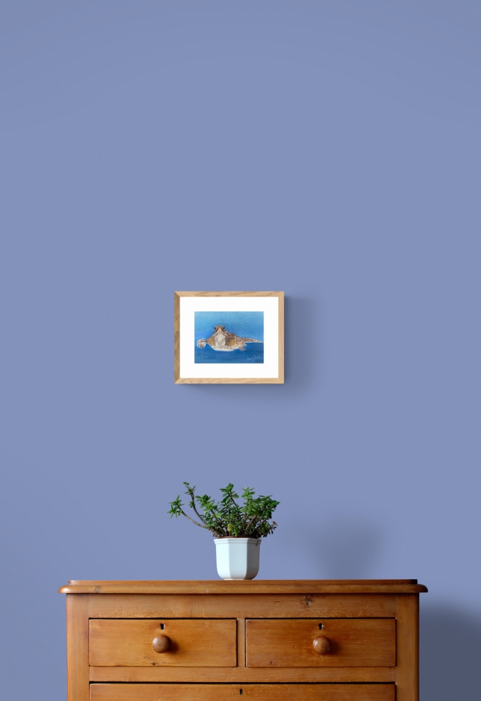 A Turtle Swimming in the Ocean