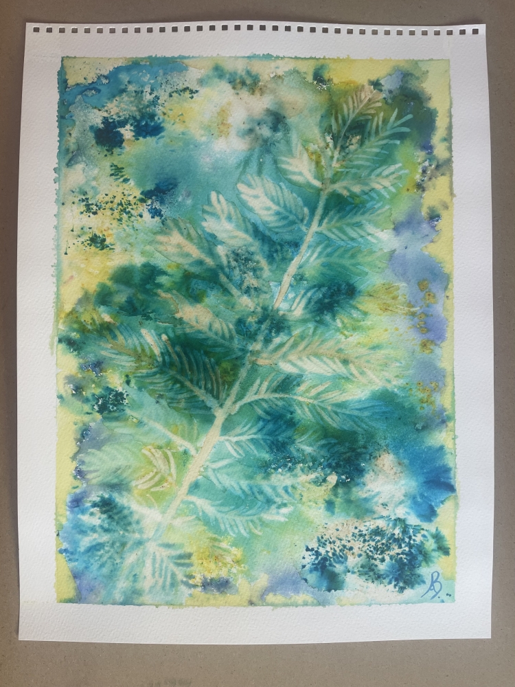 A Simple Fern Shining in the Sunlight 