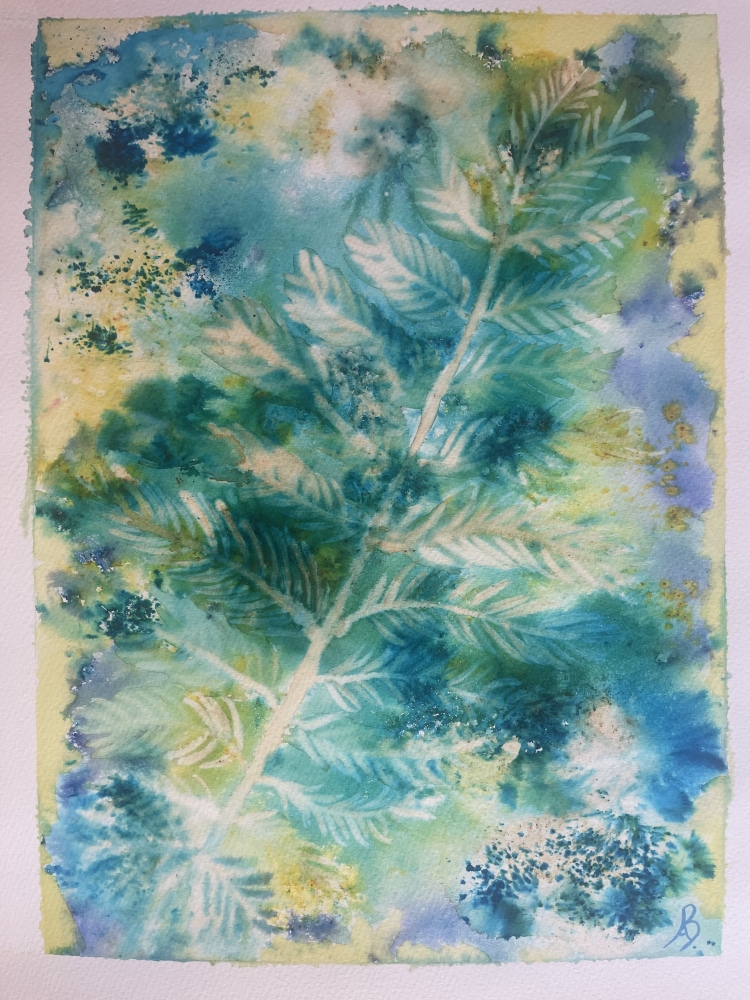 A Simple Fern Shining in the Sunlight 