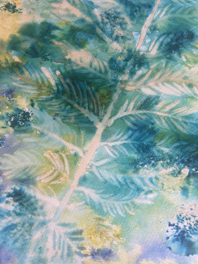 A Simple Fern Shining in the Sunlight 