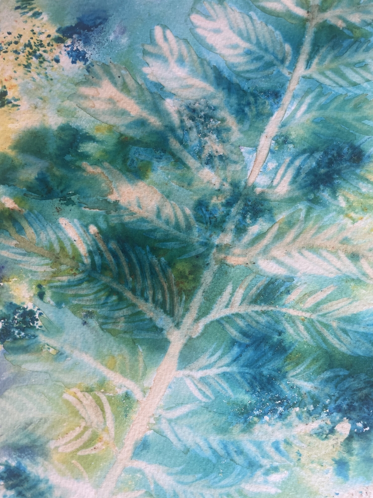 A Simple Fern Shining in the Sunlight 