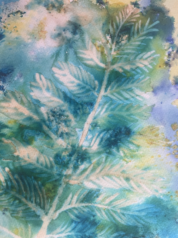 A Simple Fern Shining in the Sunlight 