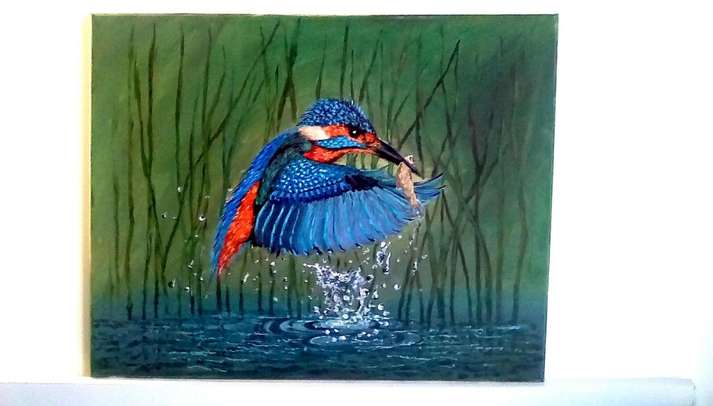 Kingfisher Fishing