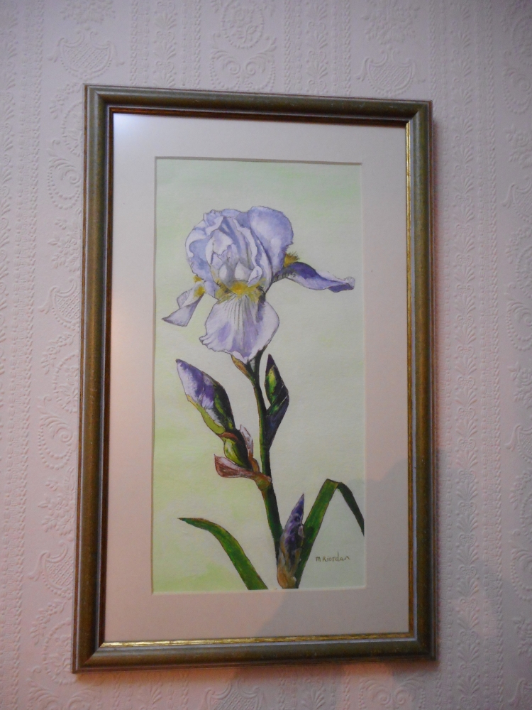 White Iris