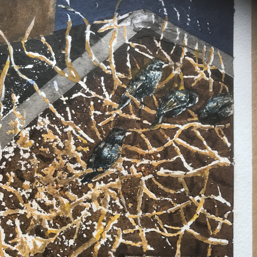 Black Roof Country...1