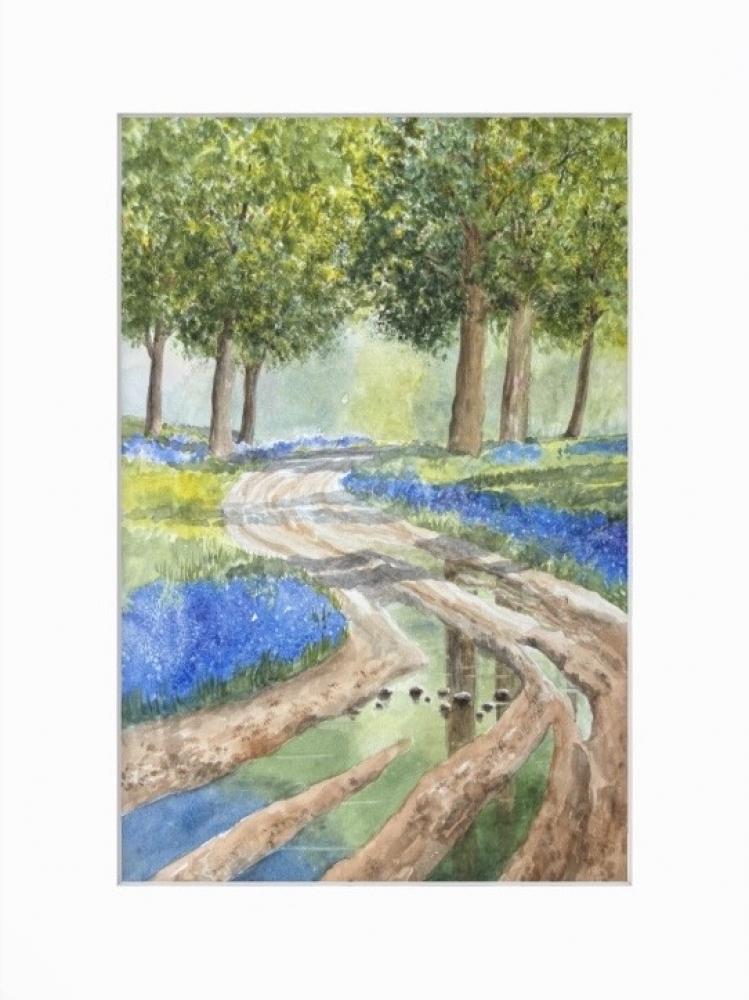 Bluebell Woods