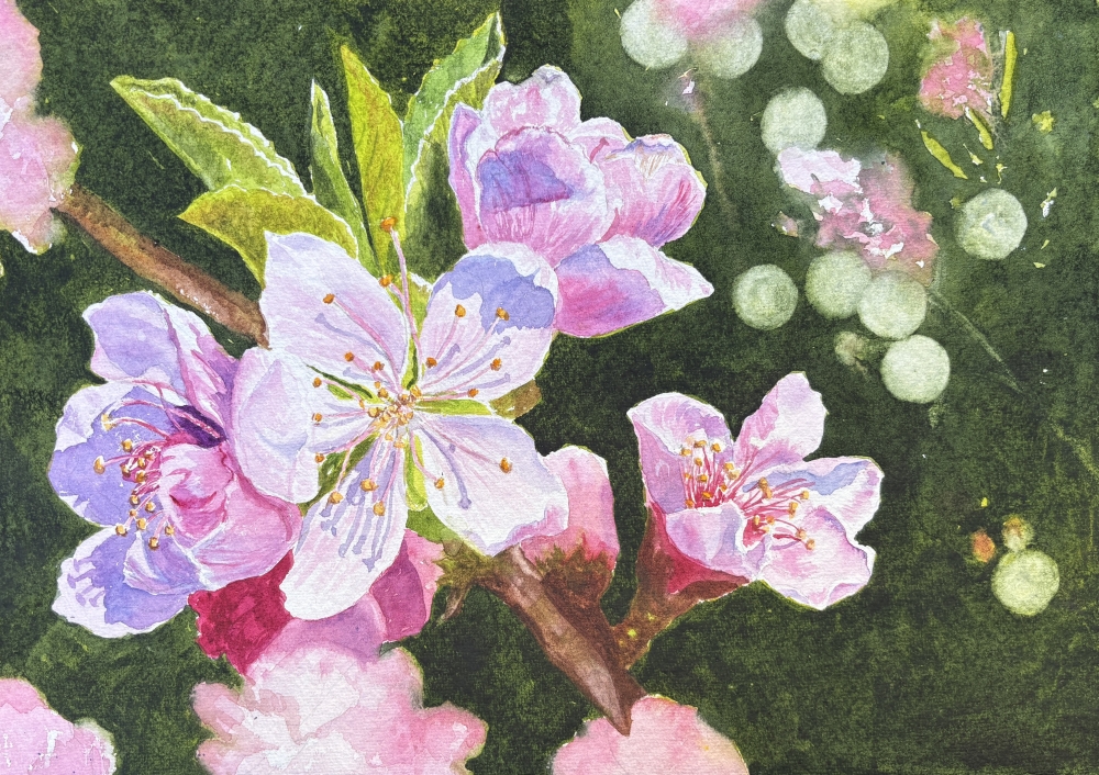 PINK BLOSSOM