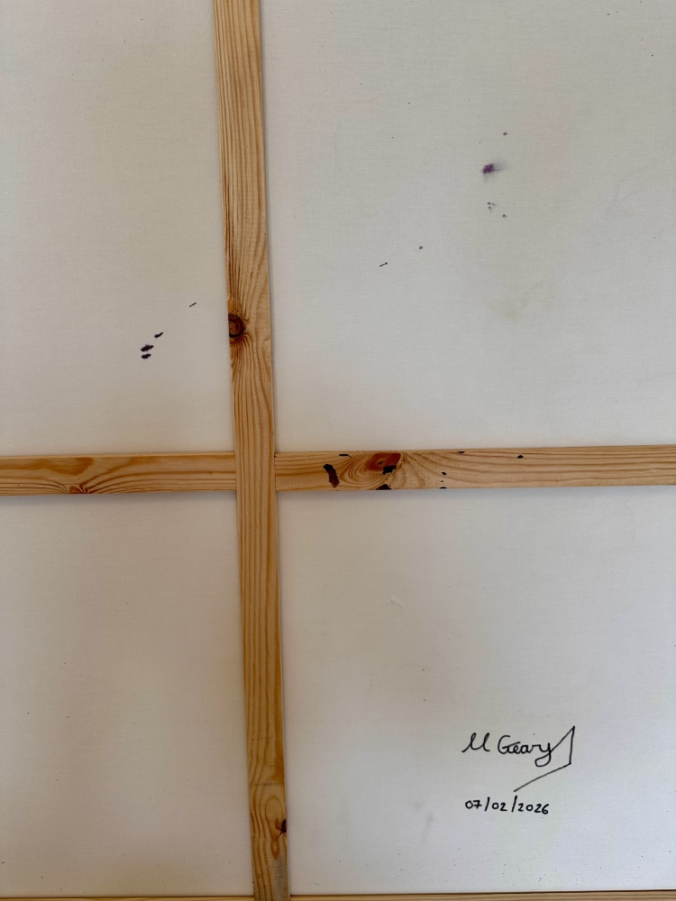 Between Storm and Starlight