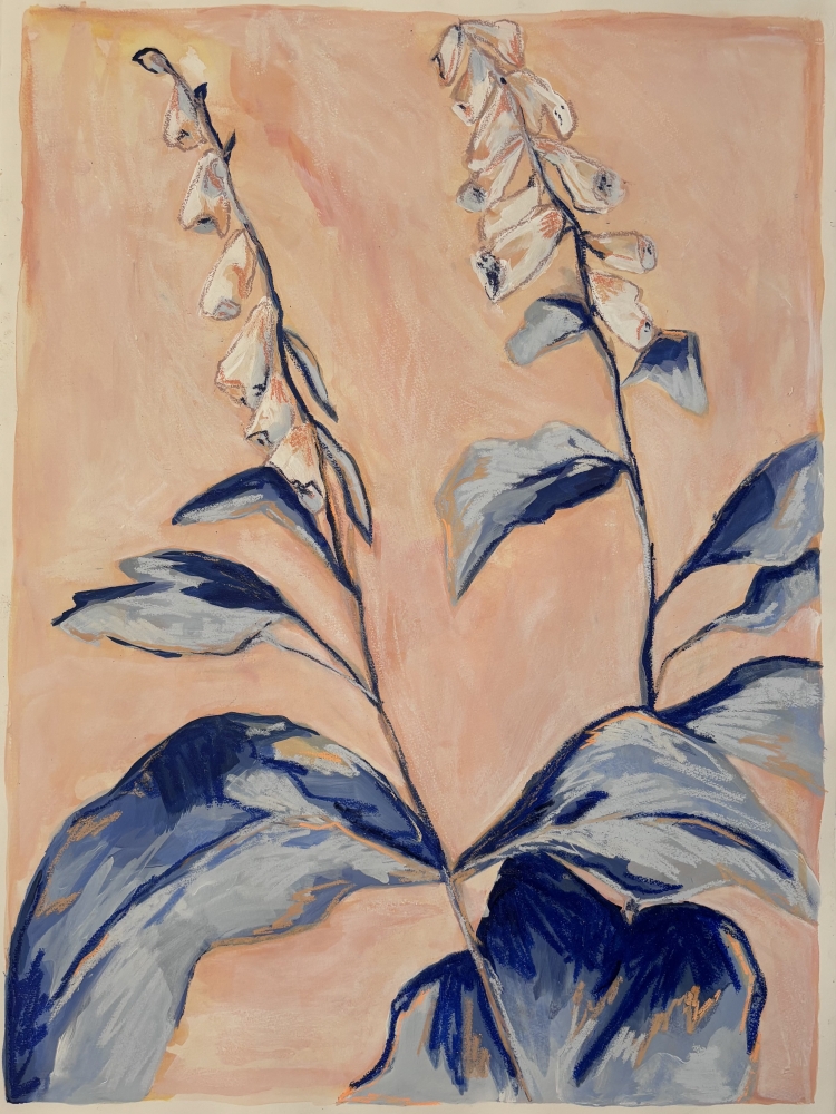 Foxgloves in Blue and Pink