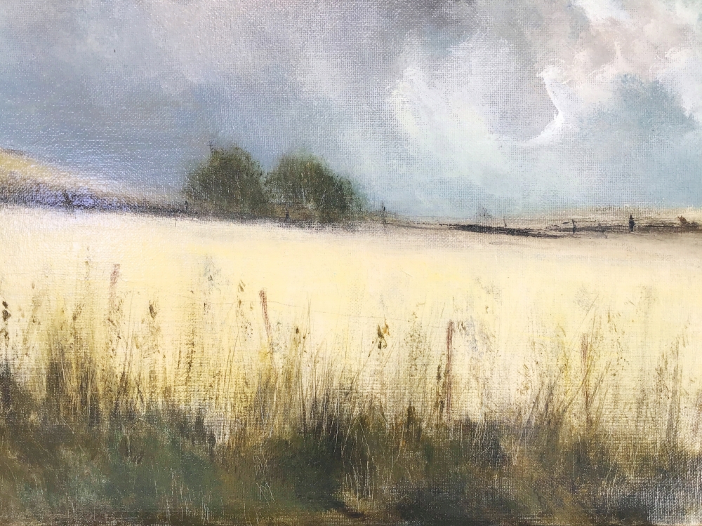 Irish Meadow