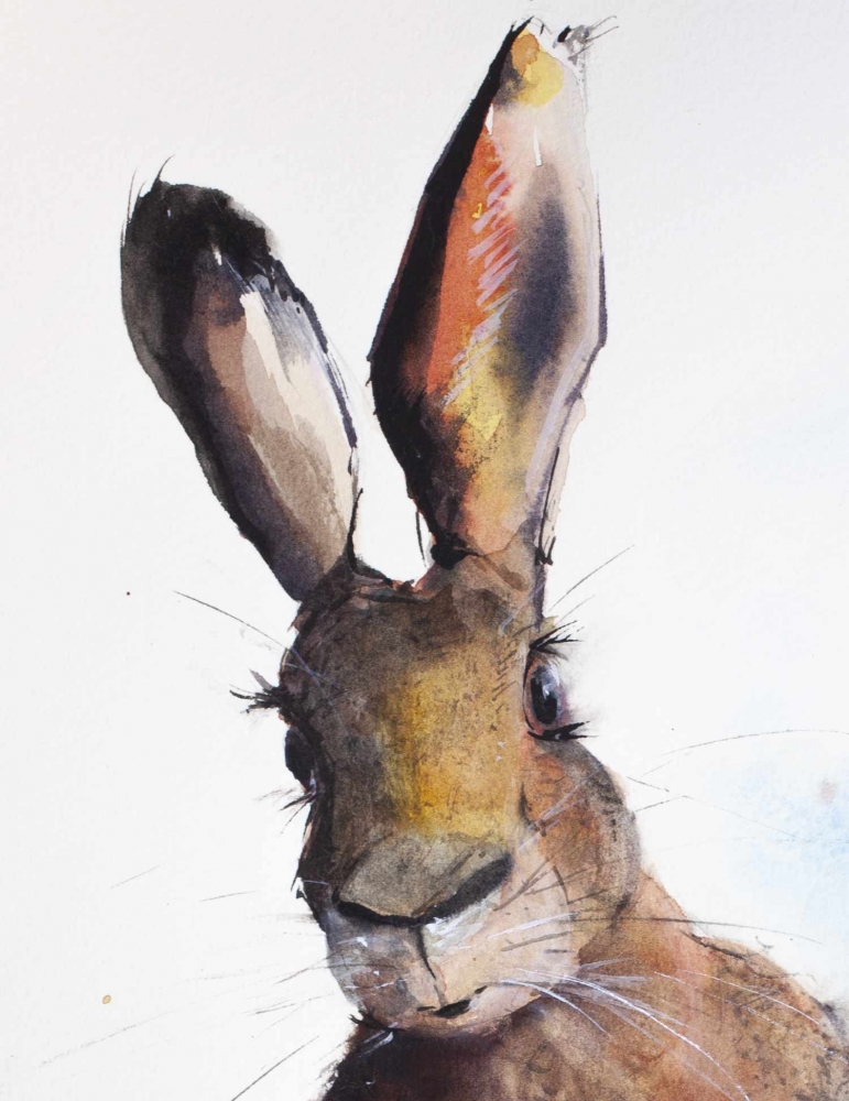 Hare II