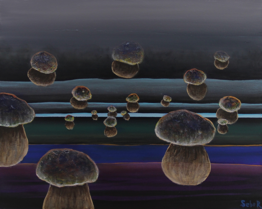 Over the River Reebon