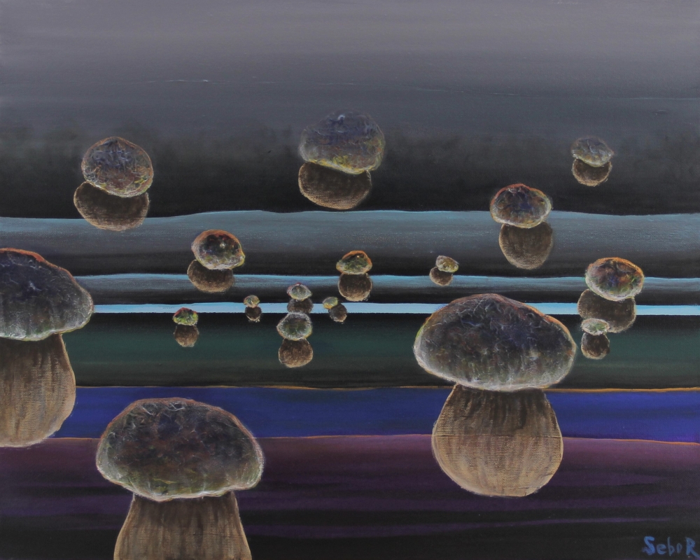 Over the River Reebon