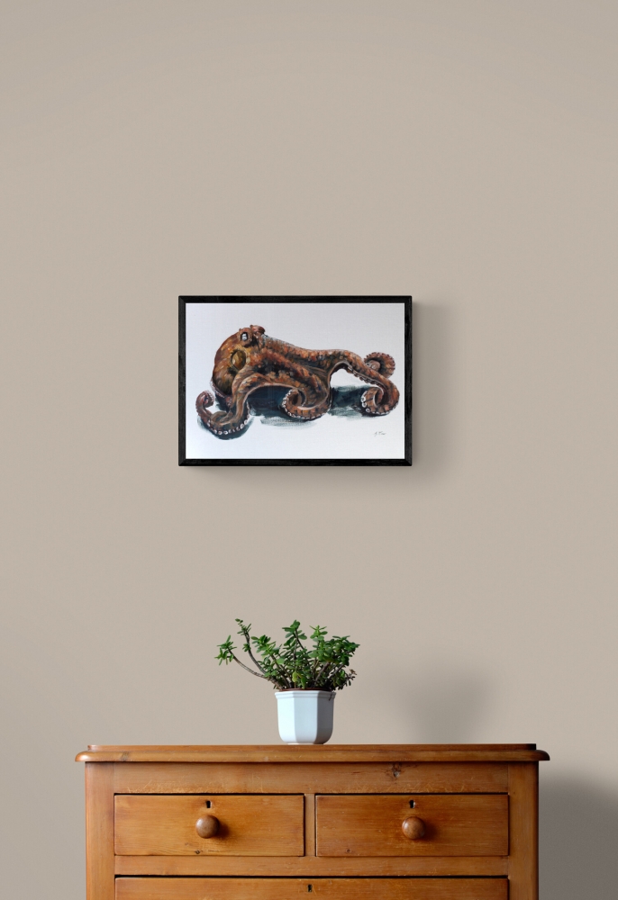 Octopus