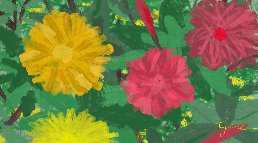 Hibiscus Impression