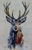 The Stag 