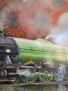 Mallard meets Scotsman