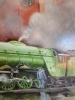 Mallard meets Scotsman
