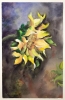 Watercolour Sunflower