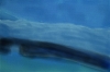 Antarctic Underwater 1