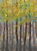 Aspen Forest 3