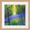 Carpet of Woodland Bluebells framed