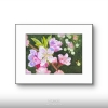 PINK BLOSSOM