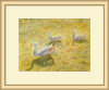 Geese on the Lake. Signed Original Watercolour