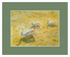 Geese on the Lake. Signed Original Watercolour
