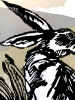 Hare