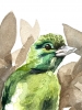 Green Bird