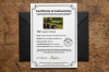 Masters Augusta National GC – Limited Edition Giclée Oak Framed Print 50x40cm