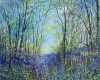Twighlight Bluebells 