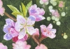 PINK BLOSSOM