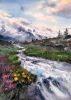 Mountain River #44
