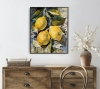 Sunlit Lemons