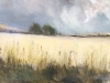 Irish Meadow